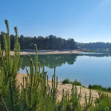Veluwe Bosuil Holiday home