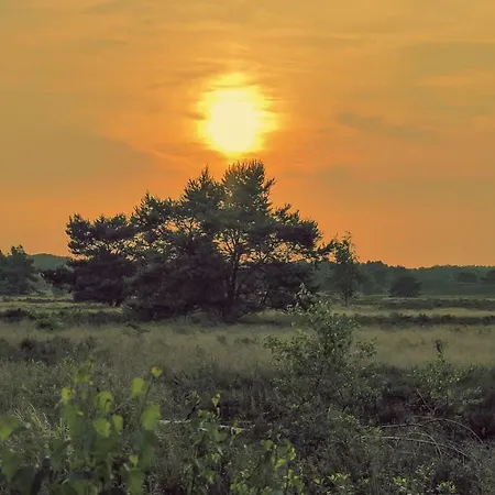 Holiday home Veluwe Bosuil