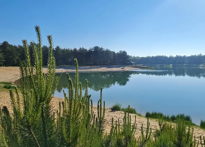 Veluwe Bosuil Semesterbostad