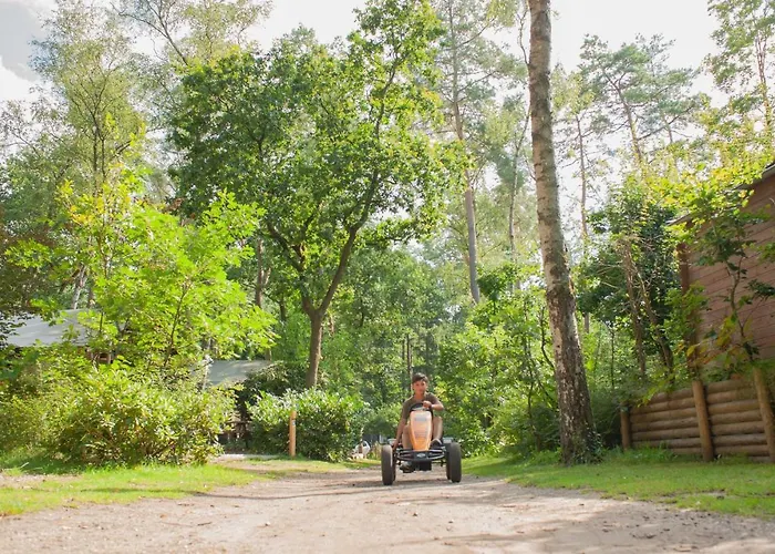Semesterbostad Veluwe Bosuil *
