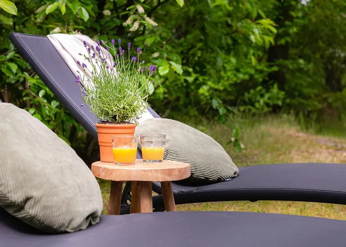 Veluwe Bosuil Semesterbostad