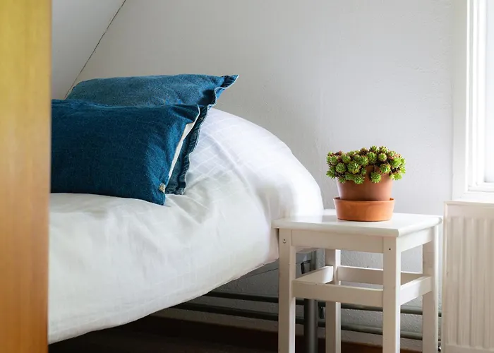 Veluwe Bosuil Nunspeet