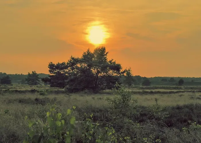 Semesterbostad Veluwe Bosuil