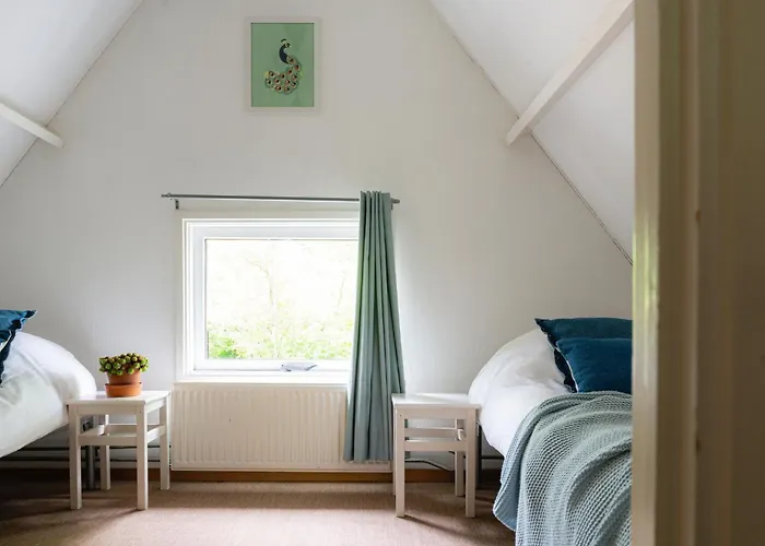 Veluwe Bosuil Nunspeet